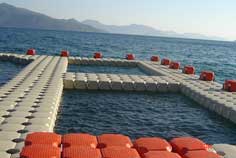 piattaforma galleggiante allevamento pesce fish farm